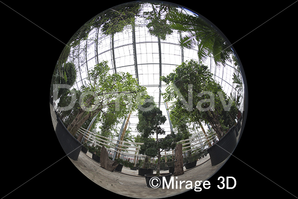 温室をスルー（温室効果イメージ）